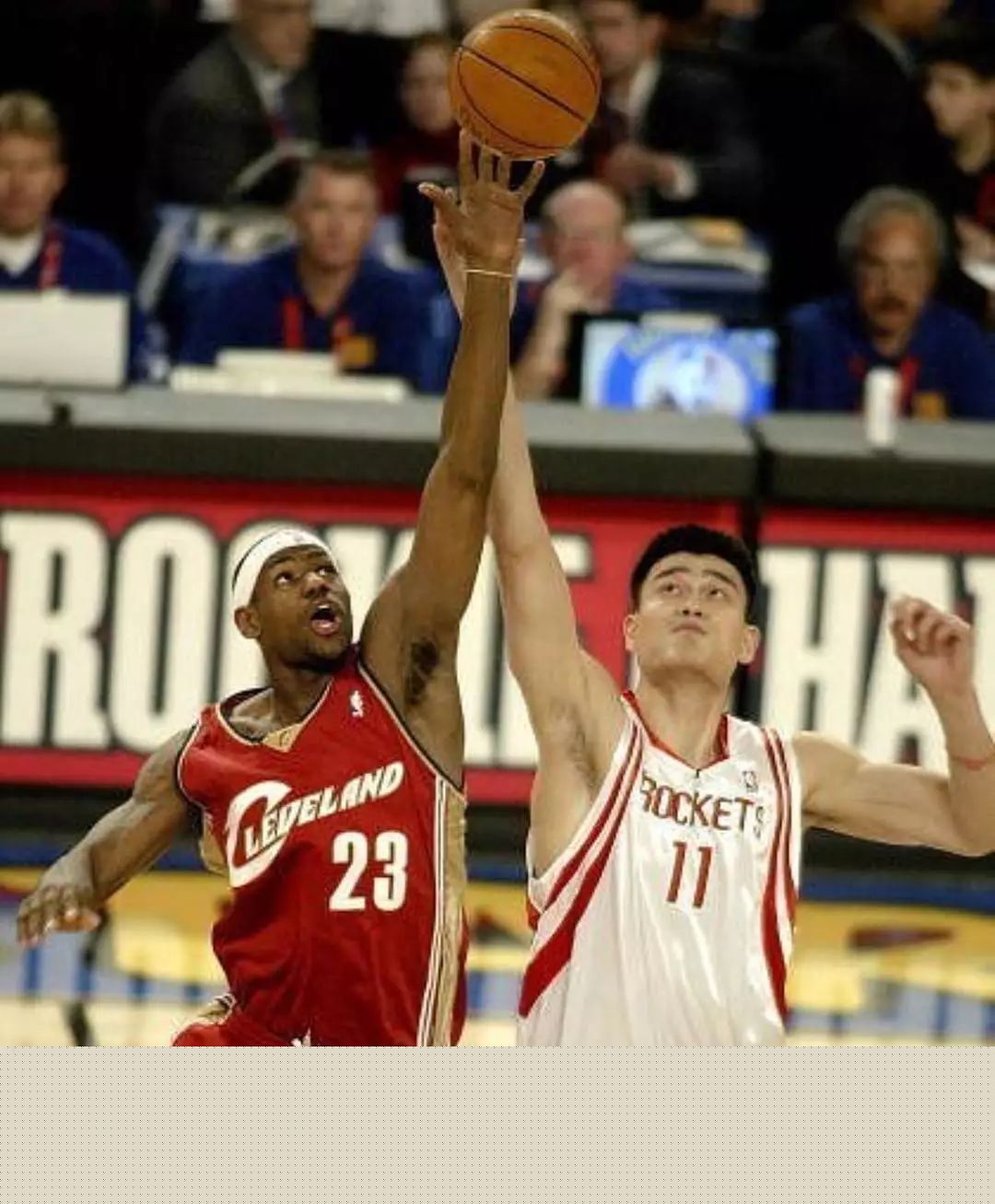 张志豪赛季走势